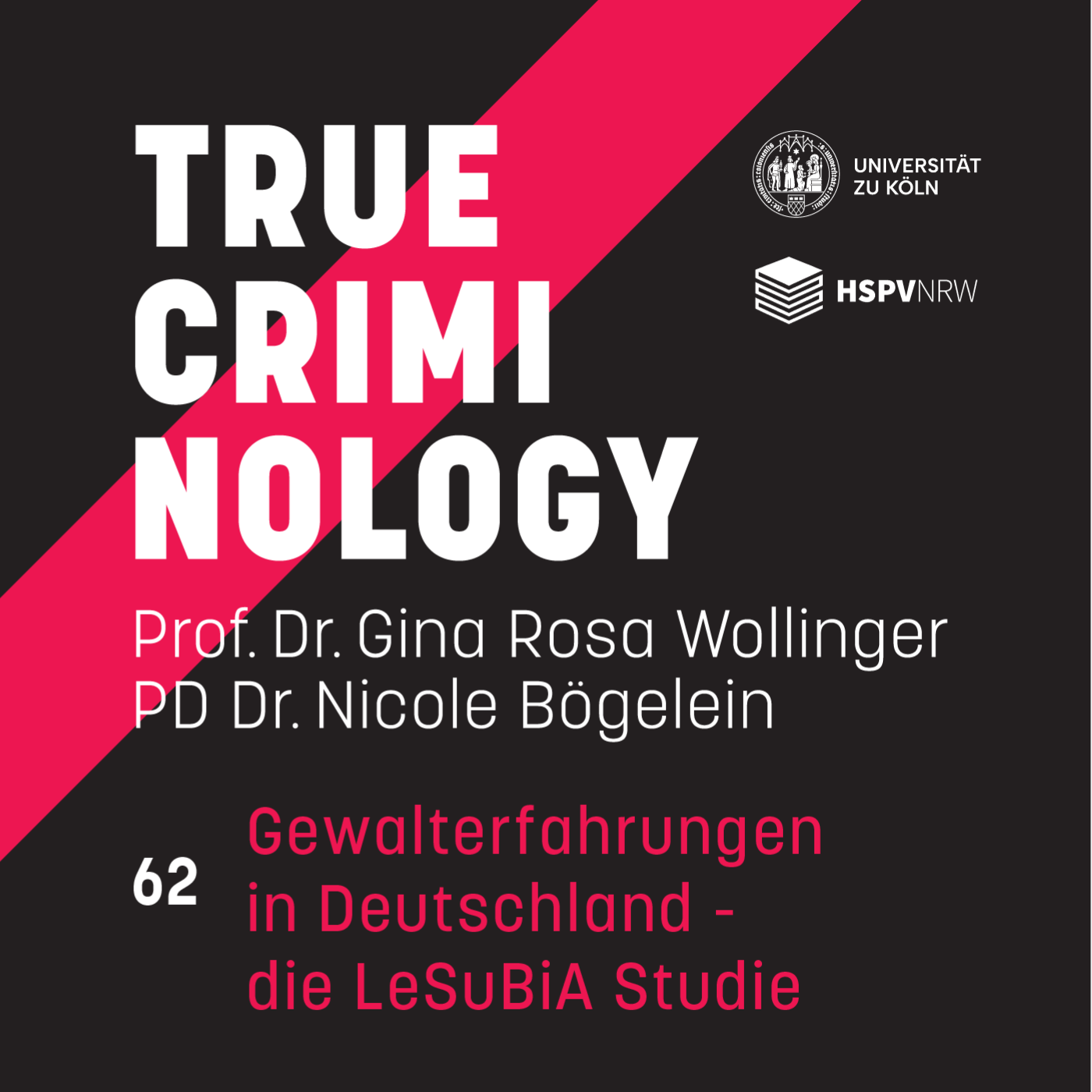 Gewalterfahrungen in Deutschland - die LeSuBiA Studie