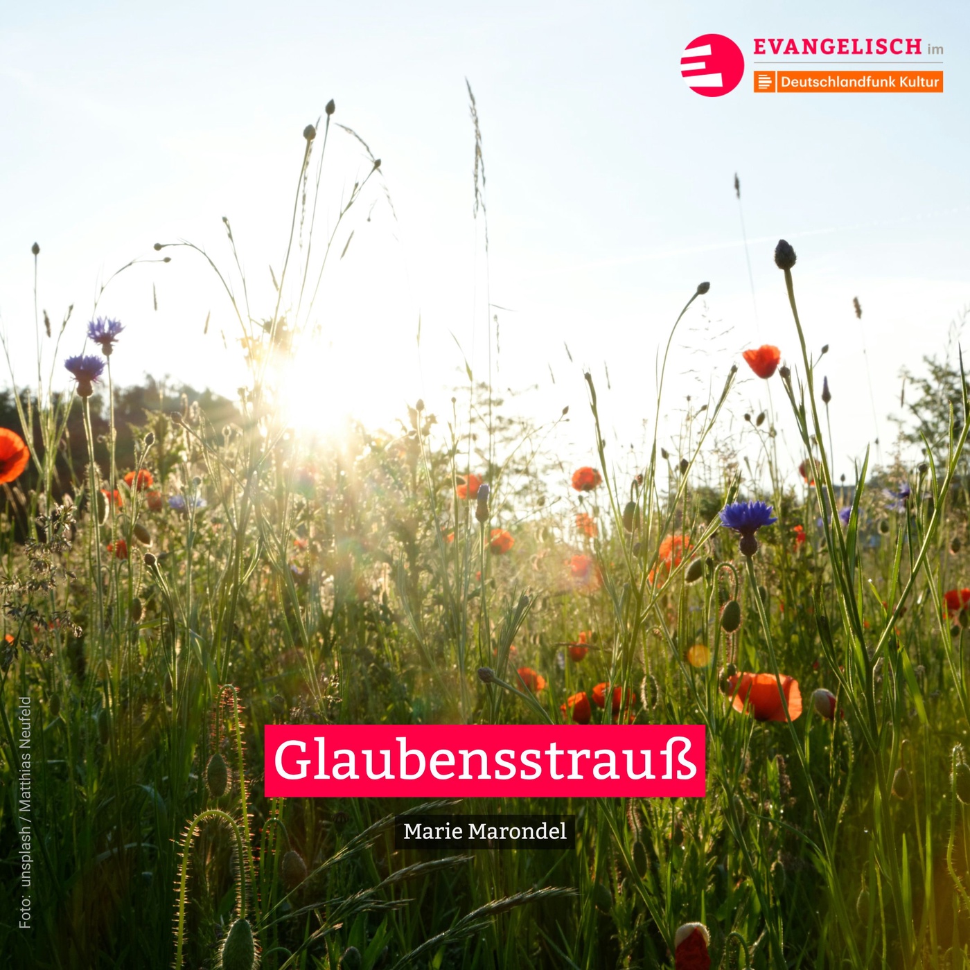 Glaubensstrauß