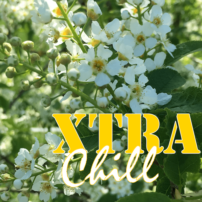 XtraChill 299