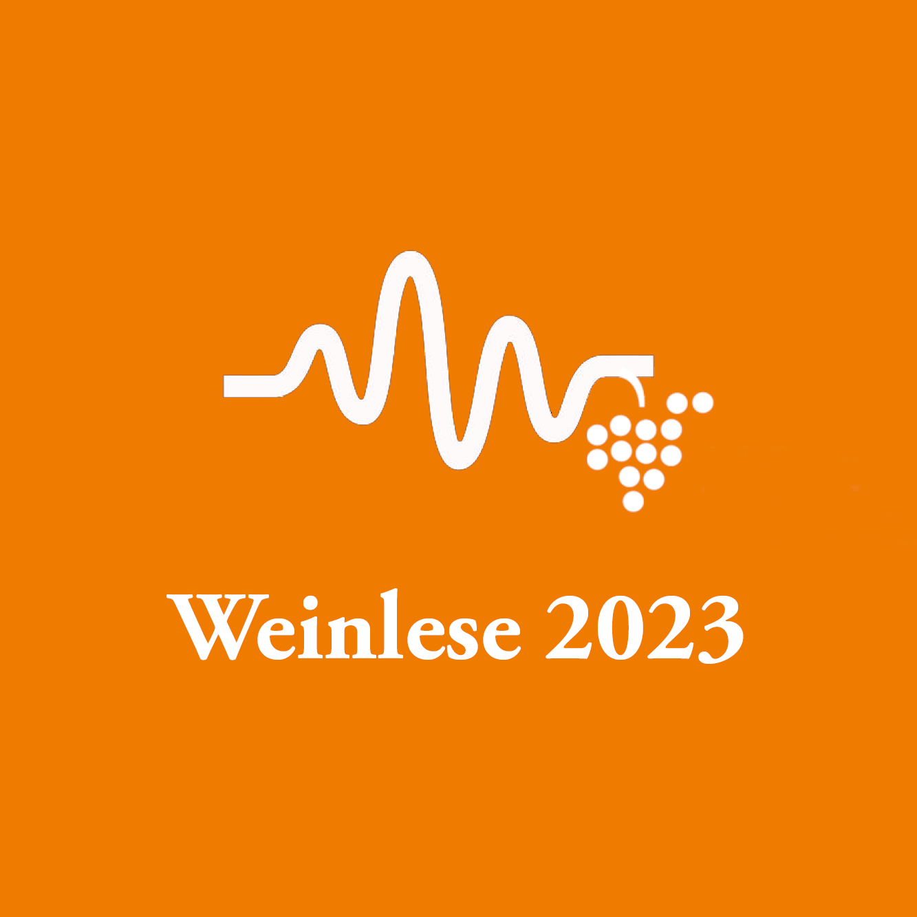 Weinlese 2023