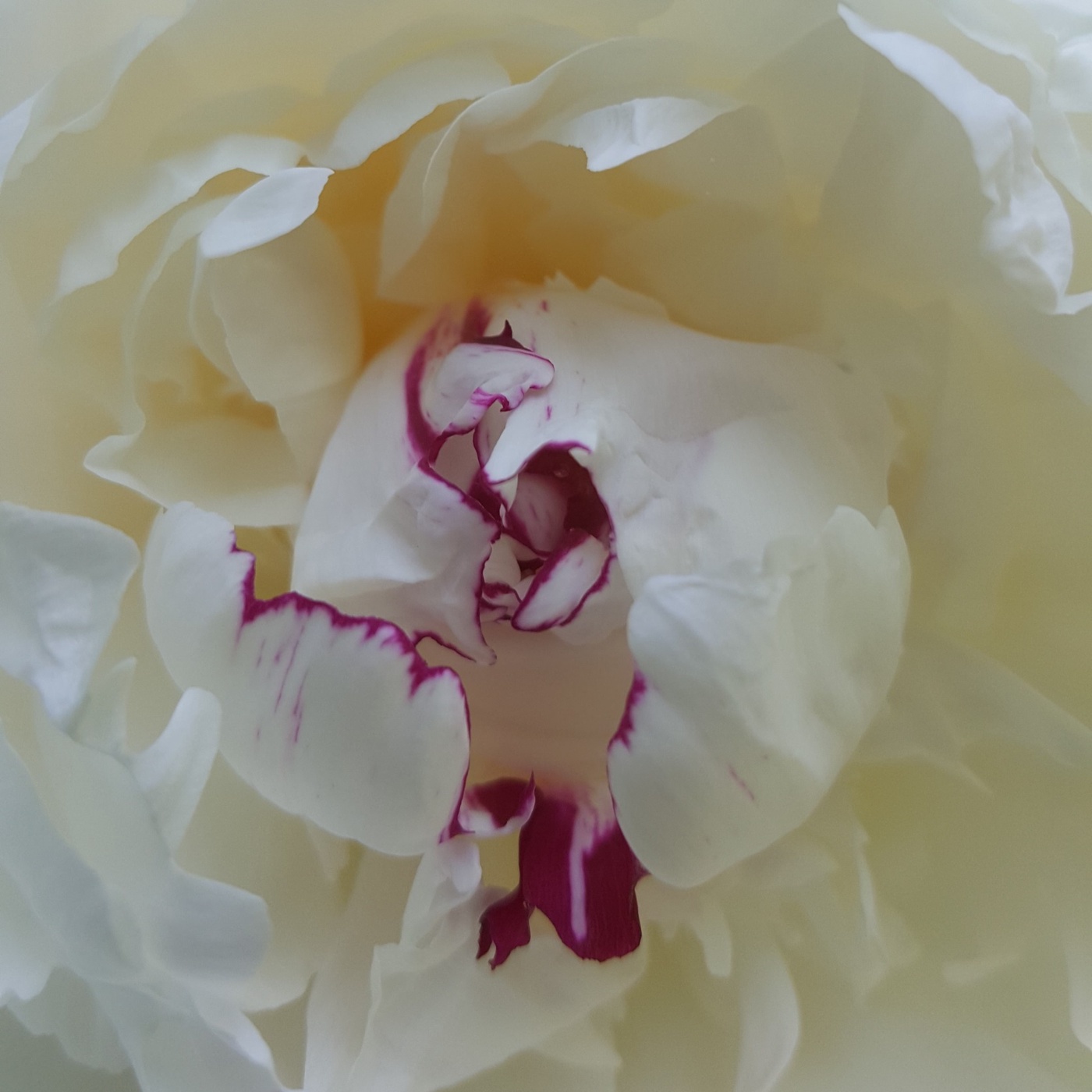 15 - Aurie und die Selbst-Liebe