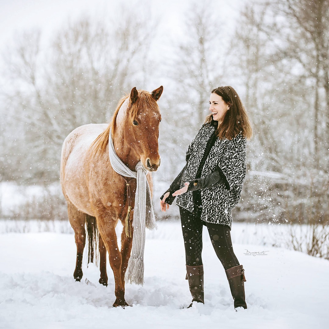 Wie du mit dem richtigen Mindset alles mit deinem Pferd erreichen kannst