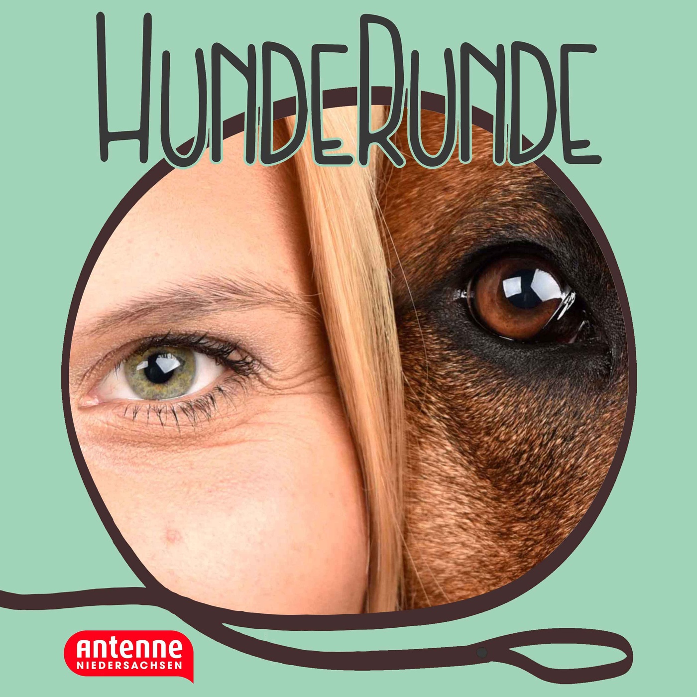 #001 Welcher Hund passt zu mir?
