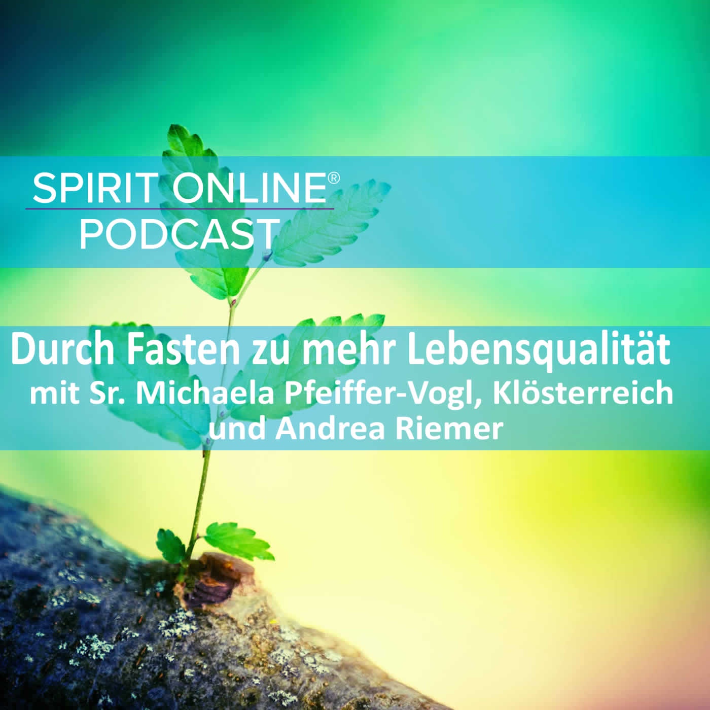 Fasten mit Sr. Michaela Pfeiffer-Vogl - Klösterreich