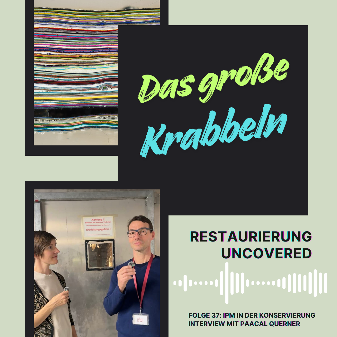 Das große Krabbeln