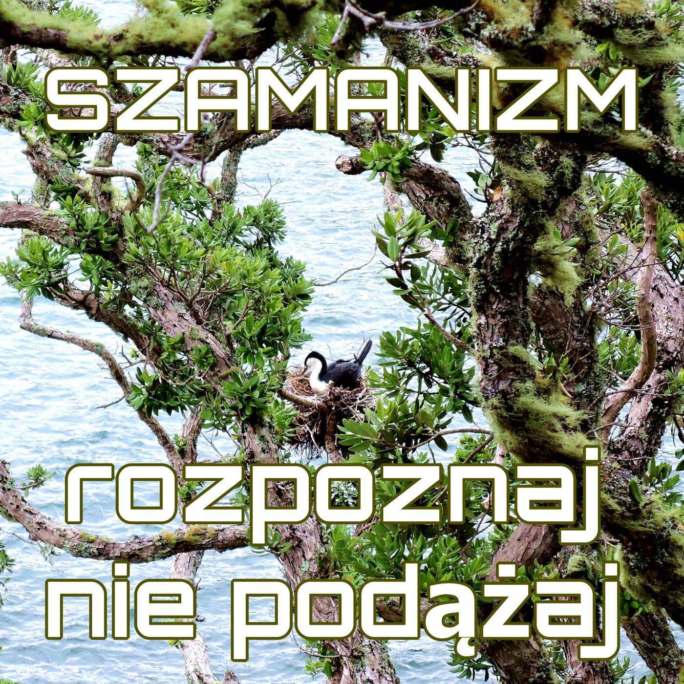 S01E10. SZAMANIZM: rozpoznaj, nie podążaj!