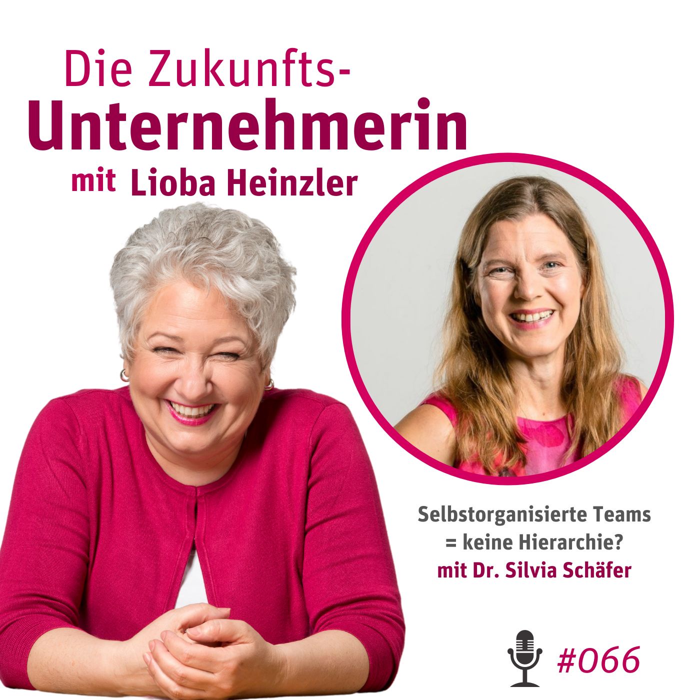 Selbstorganisierte Teams = keine Hierarchie? mit Dr. Silvia Schäfer