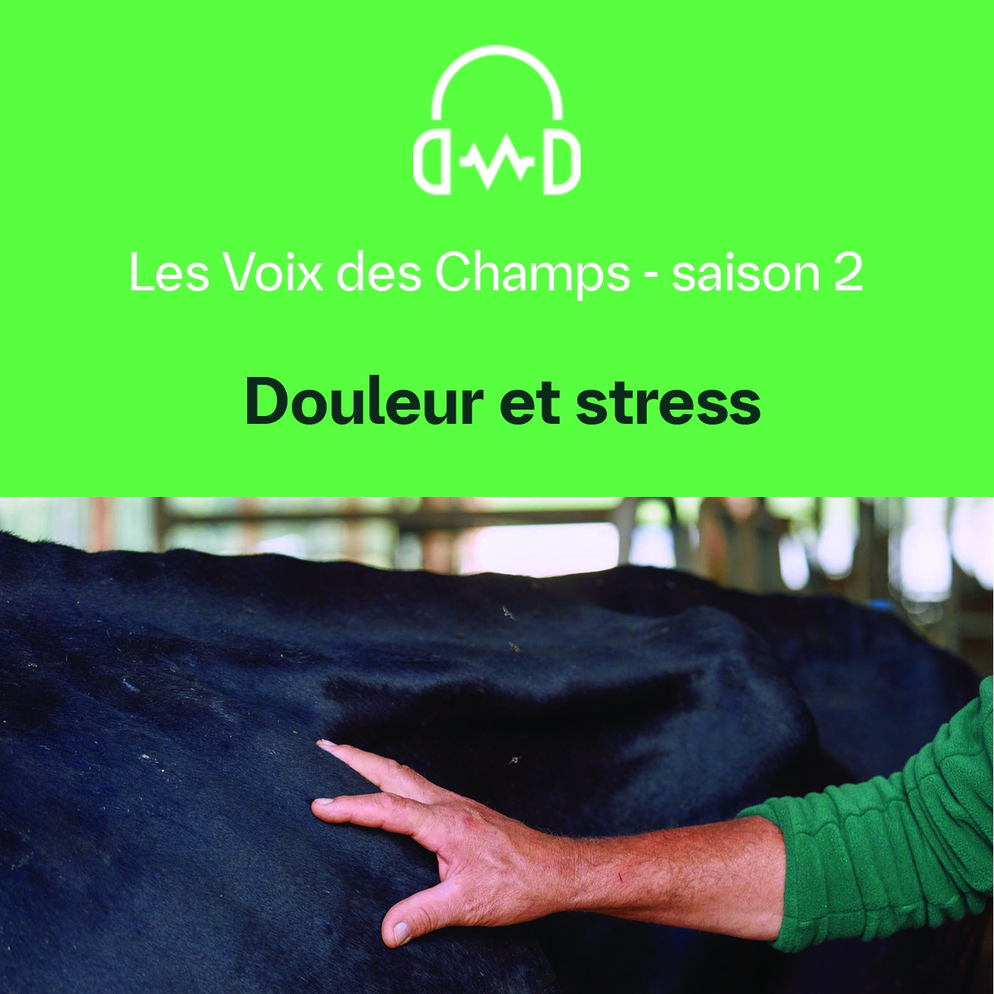 LesVoixDesChamps - S02 - E03 : Douleur et stress