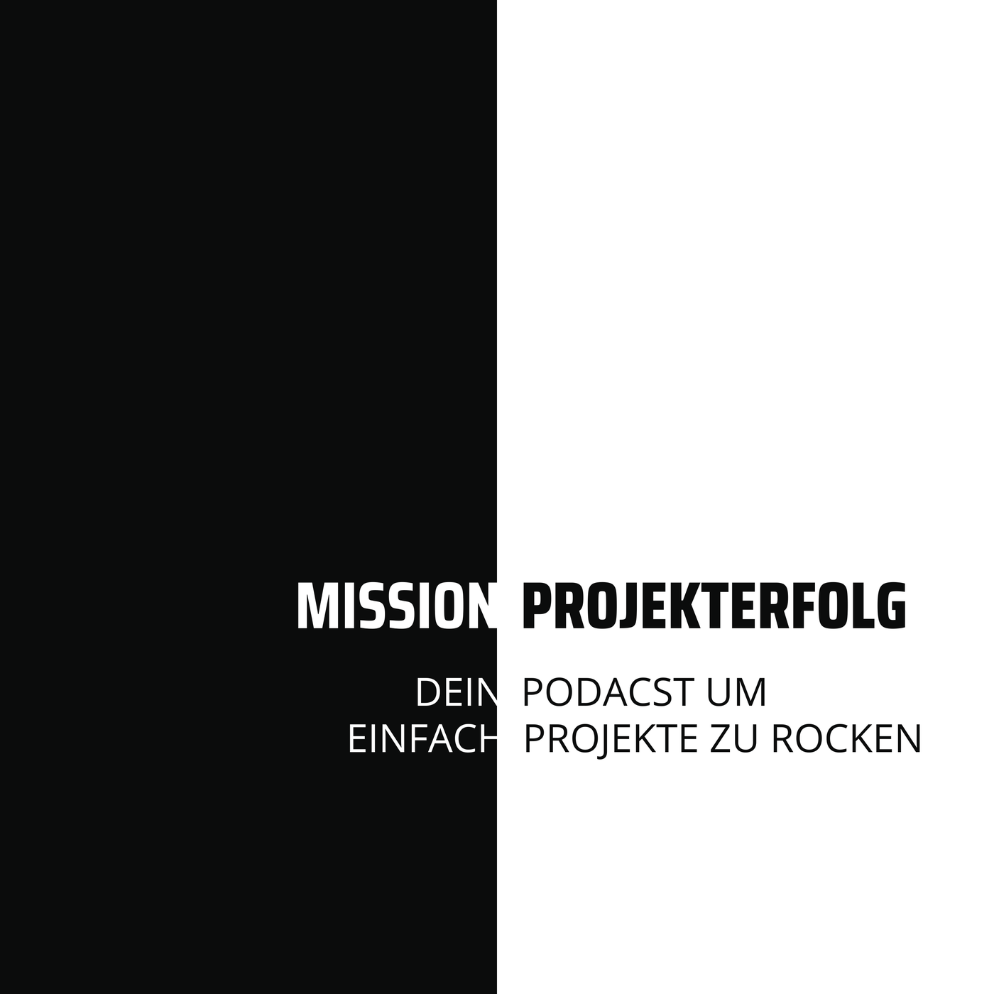 Mission Projekterfolg
