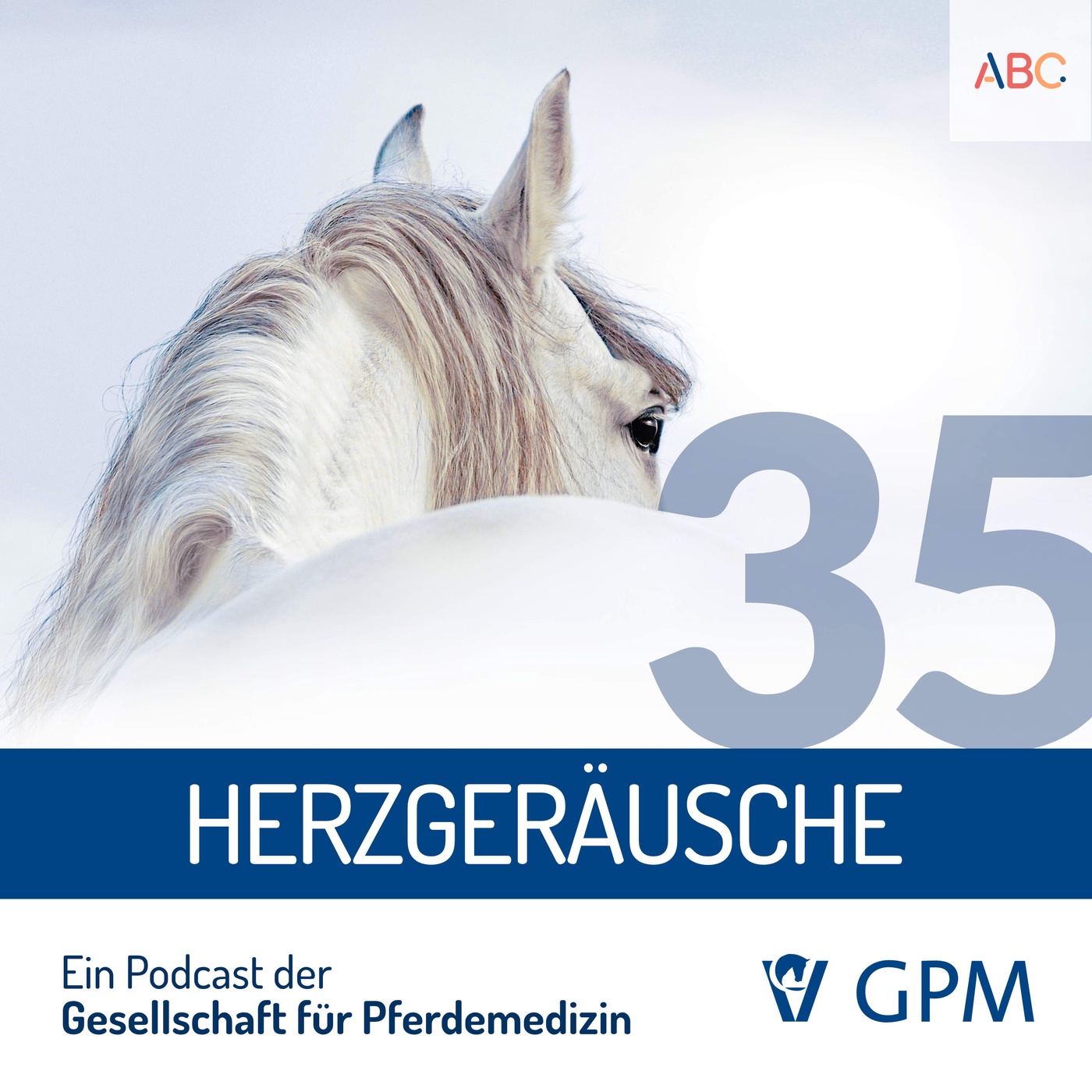 Das Herz - Teil 1: Herzgeräusche