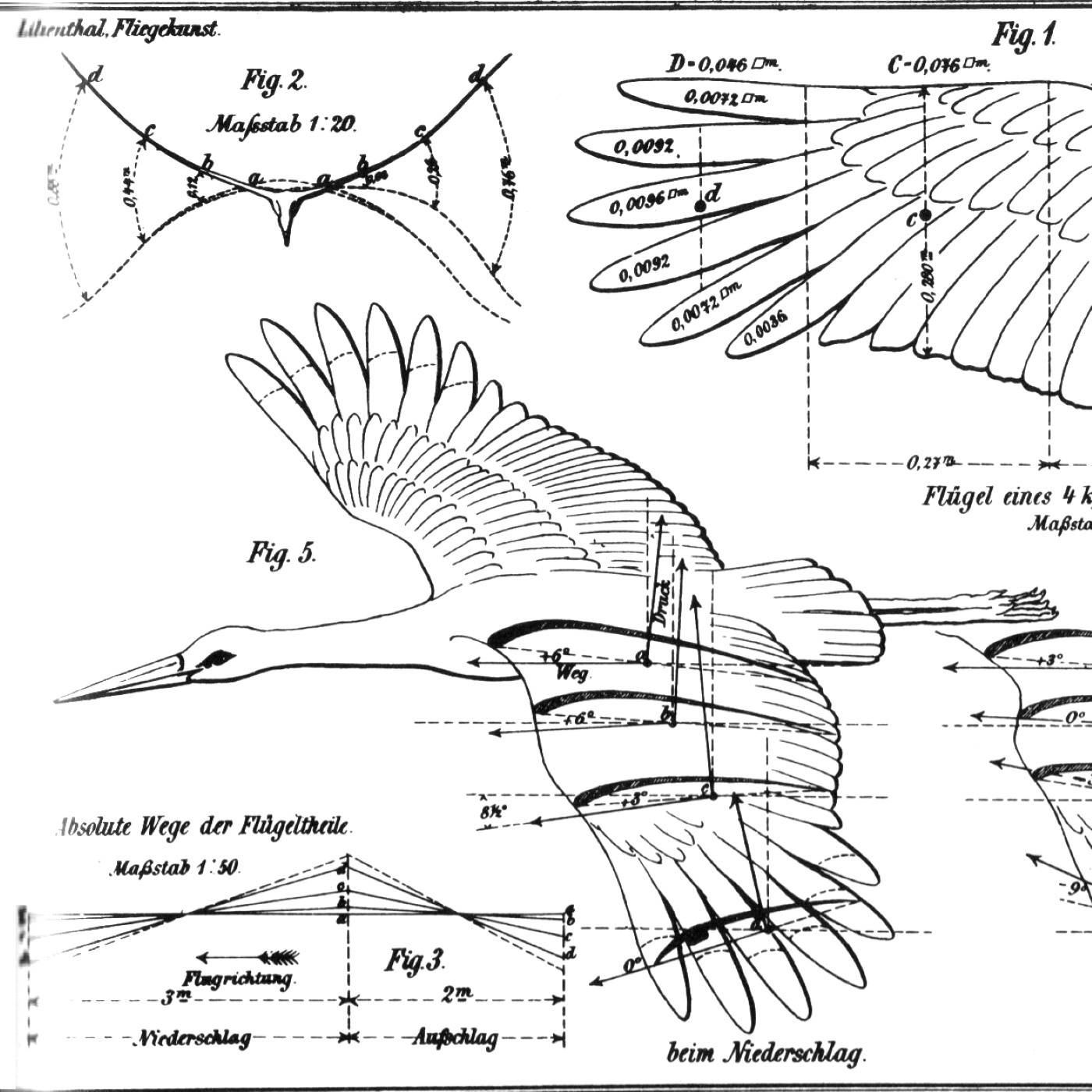 Y-052: Otto Lilienthal, Der Vogelflug als Grundlage der Fliegekunst (1889)