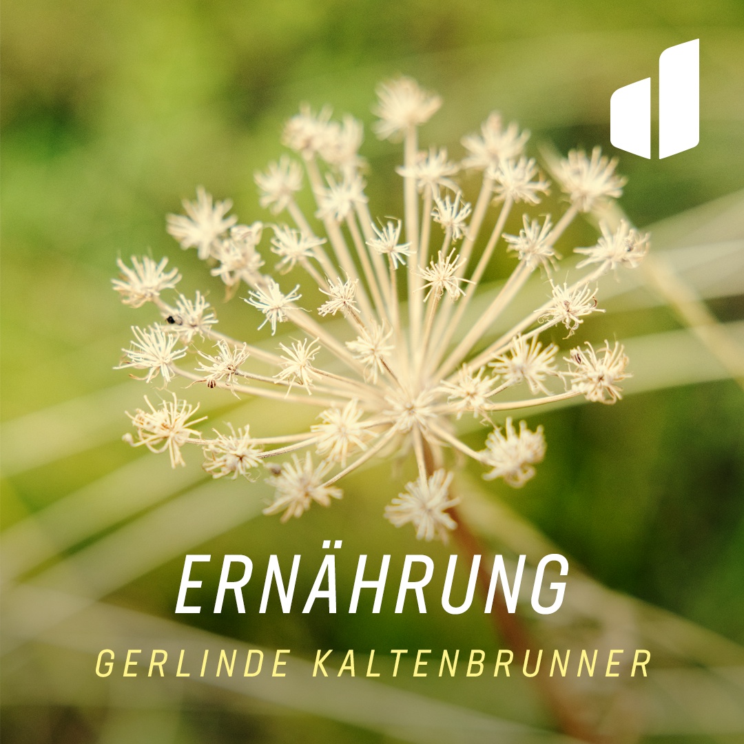 7. Tag: Das eigene Wohlbefinden steigern