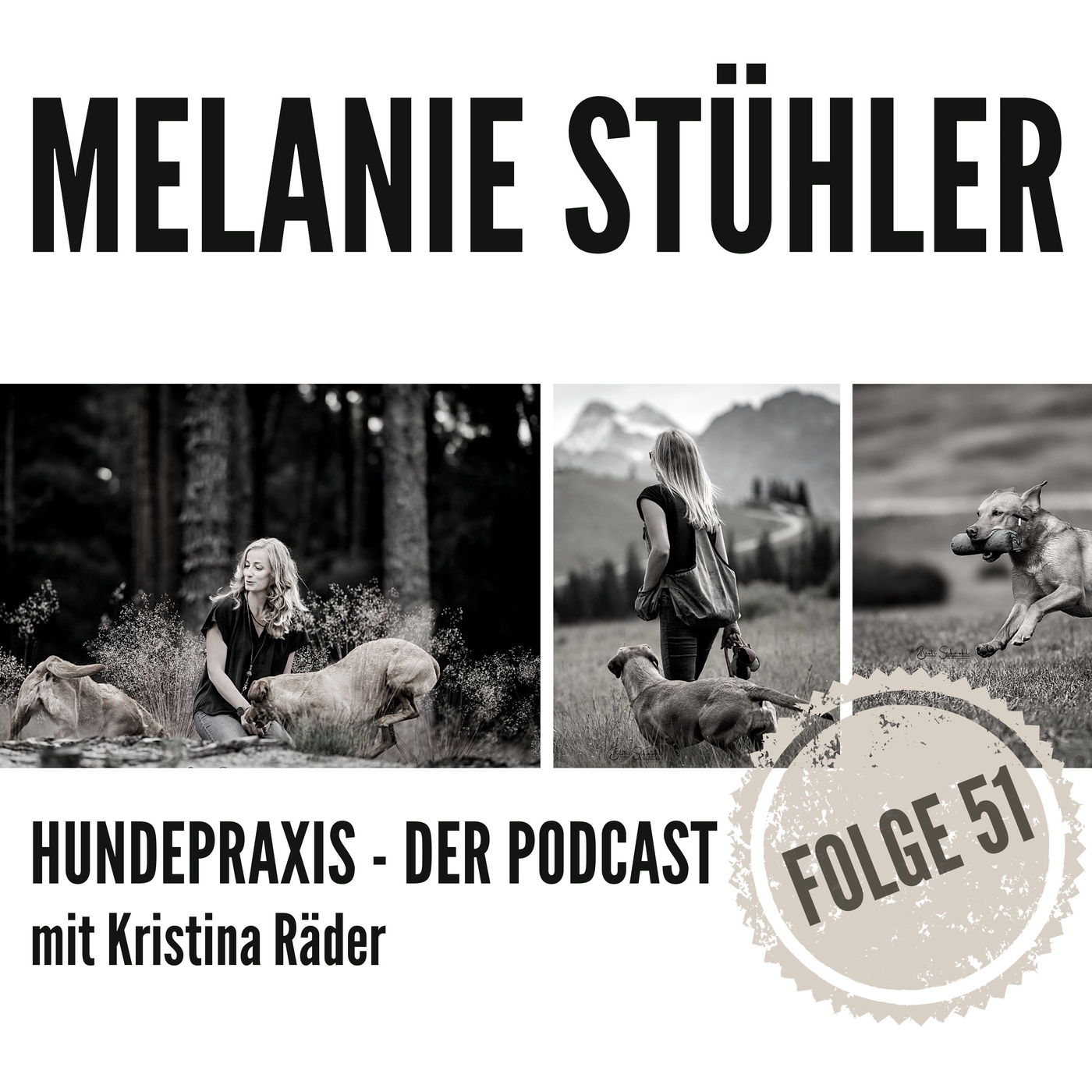 Entscheidungen treffen im Dummytraining - Melanie Stühler