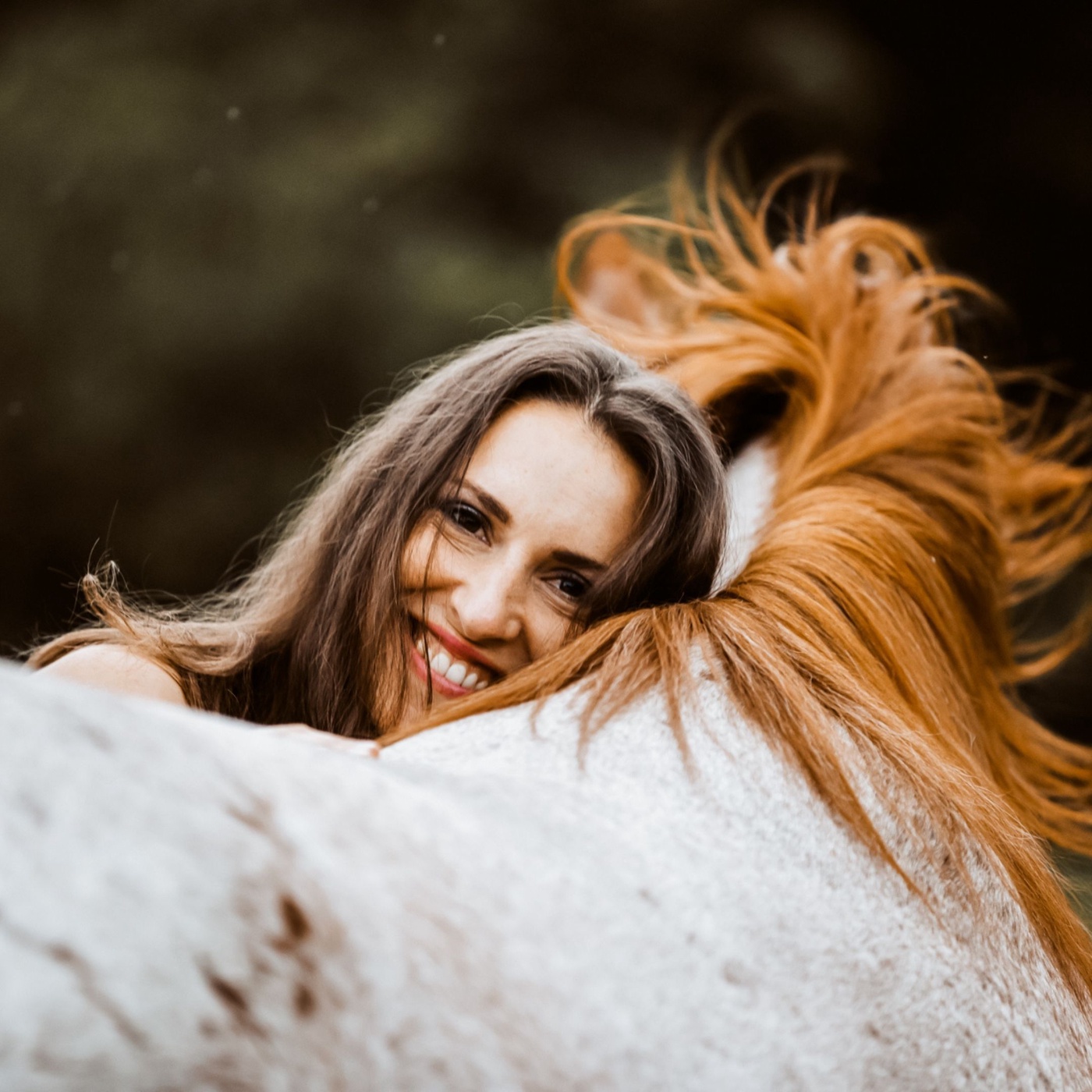 Das erste eigene Pferd