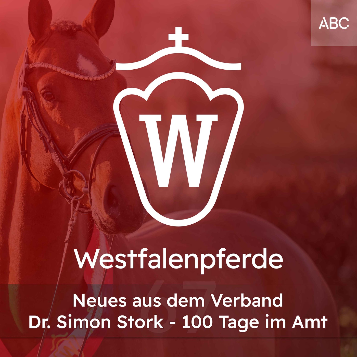 Neues aus dem Verband: Dr. Simon Stork - 100 Tage im Amt