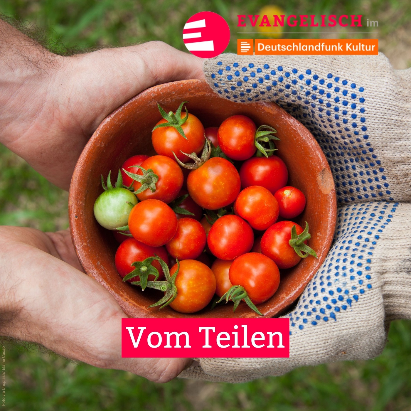 Vom Teilen
