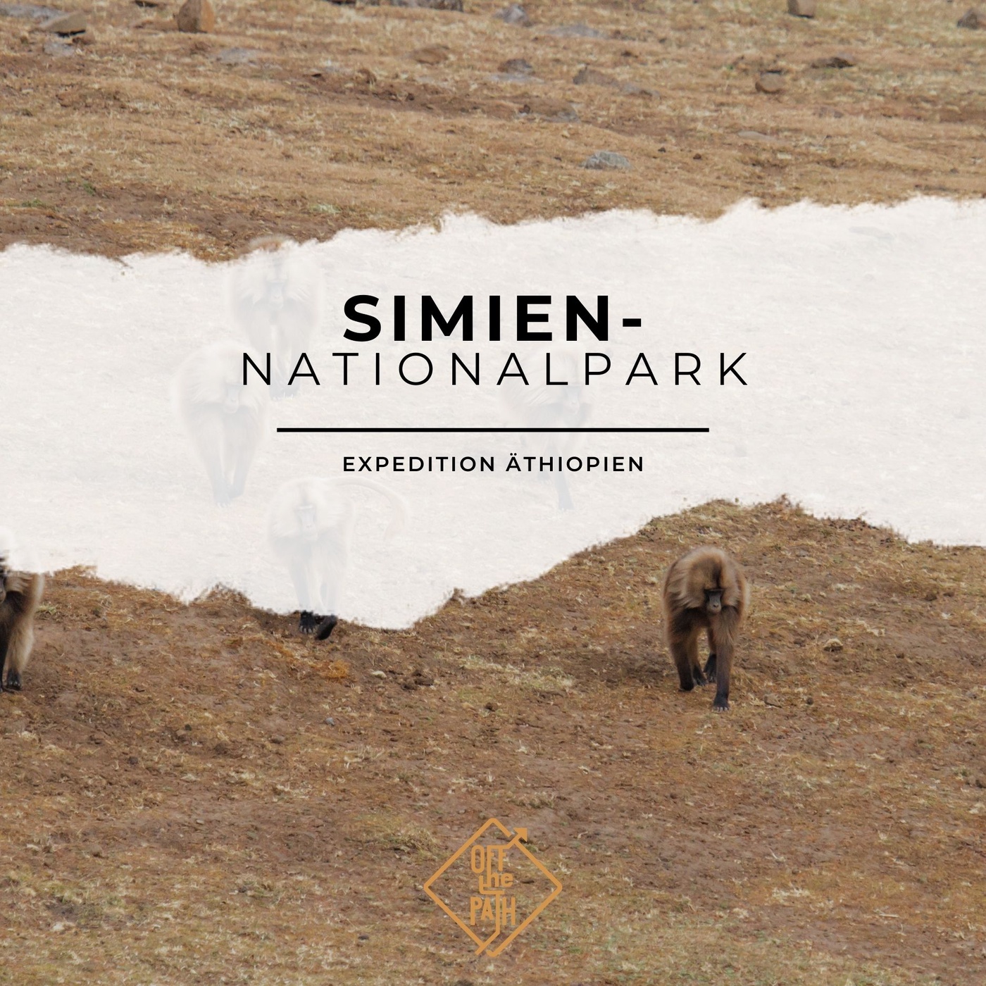 Expedition Äthiopien: Eine Reise zum Simien-Nationalpark