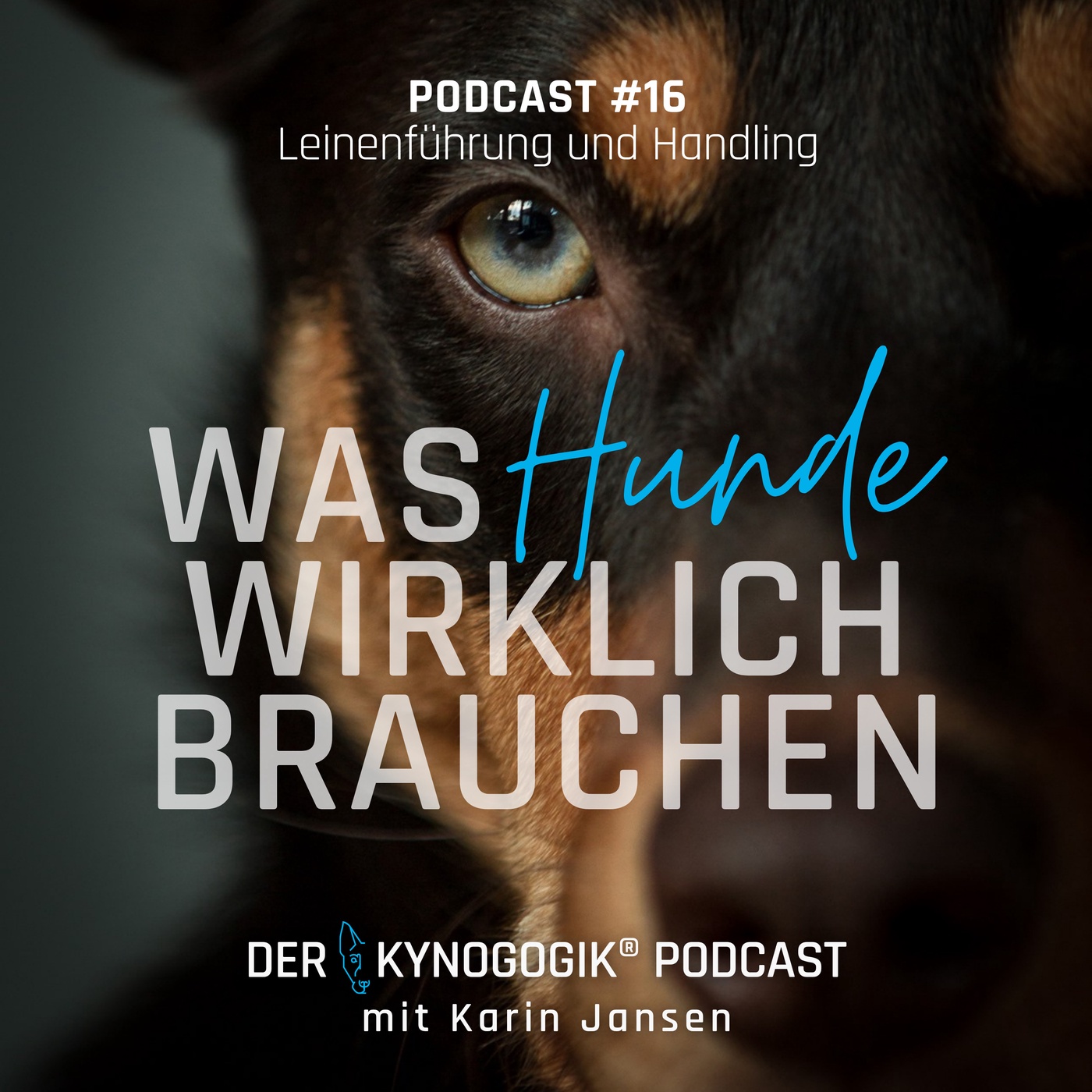 Leinenführung und -Handling