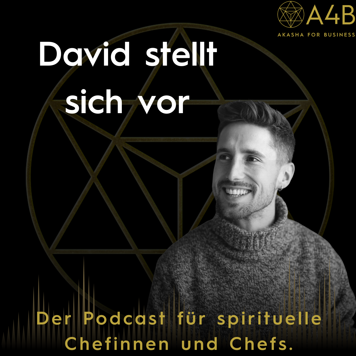 David stellt sich vor