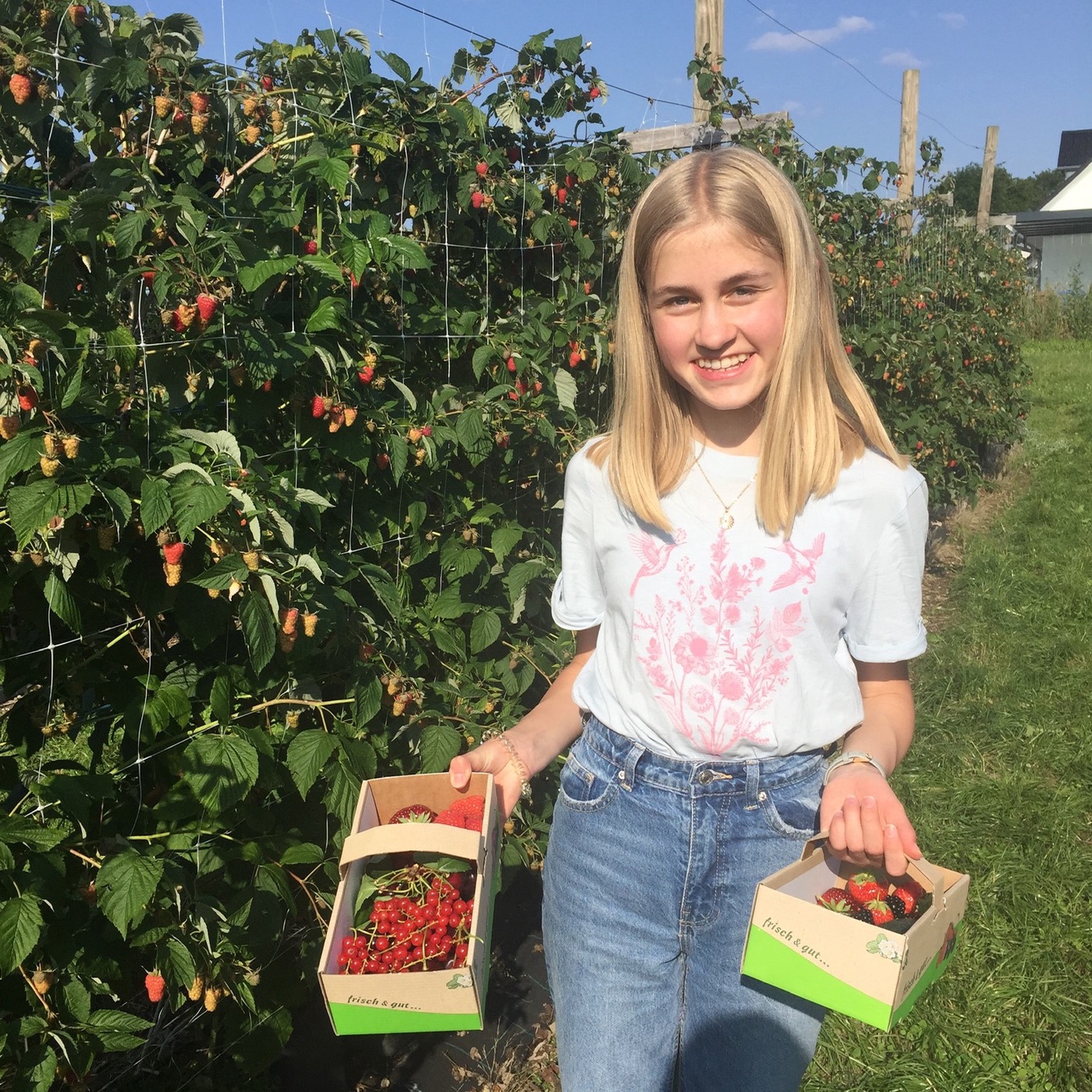 Beeren zum Selberpflücken