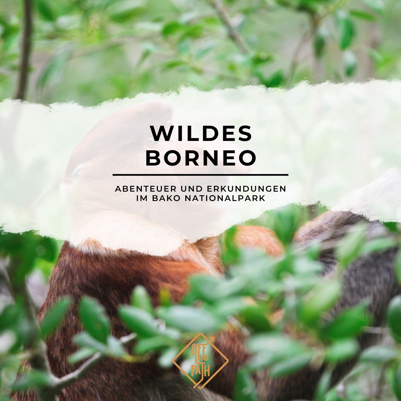 Wildes Borneo: Abenteuer und Erkundungen im Bako Nationalpark
