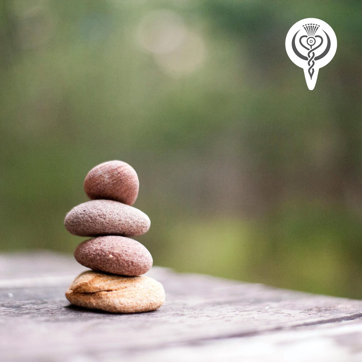 Die Vergangenheit klären: Mein Weg mit Karma Clear