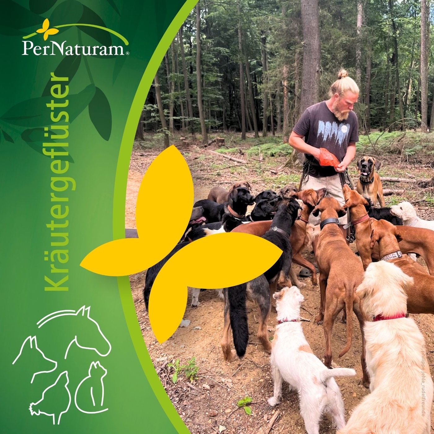 Hund-Mensch-Teams