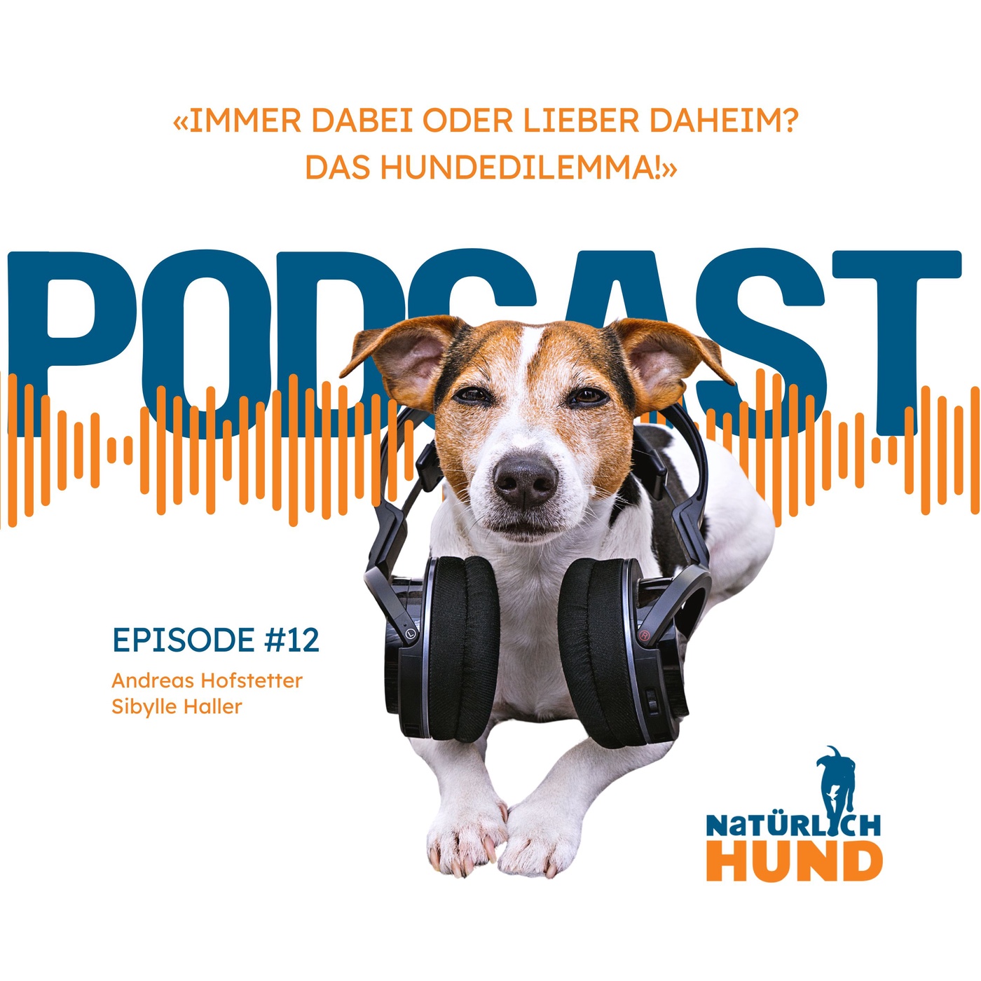 Immer dabei oder lieber daheim? Das Hundedilemma! #12