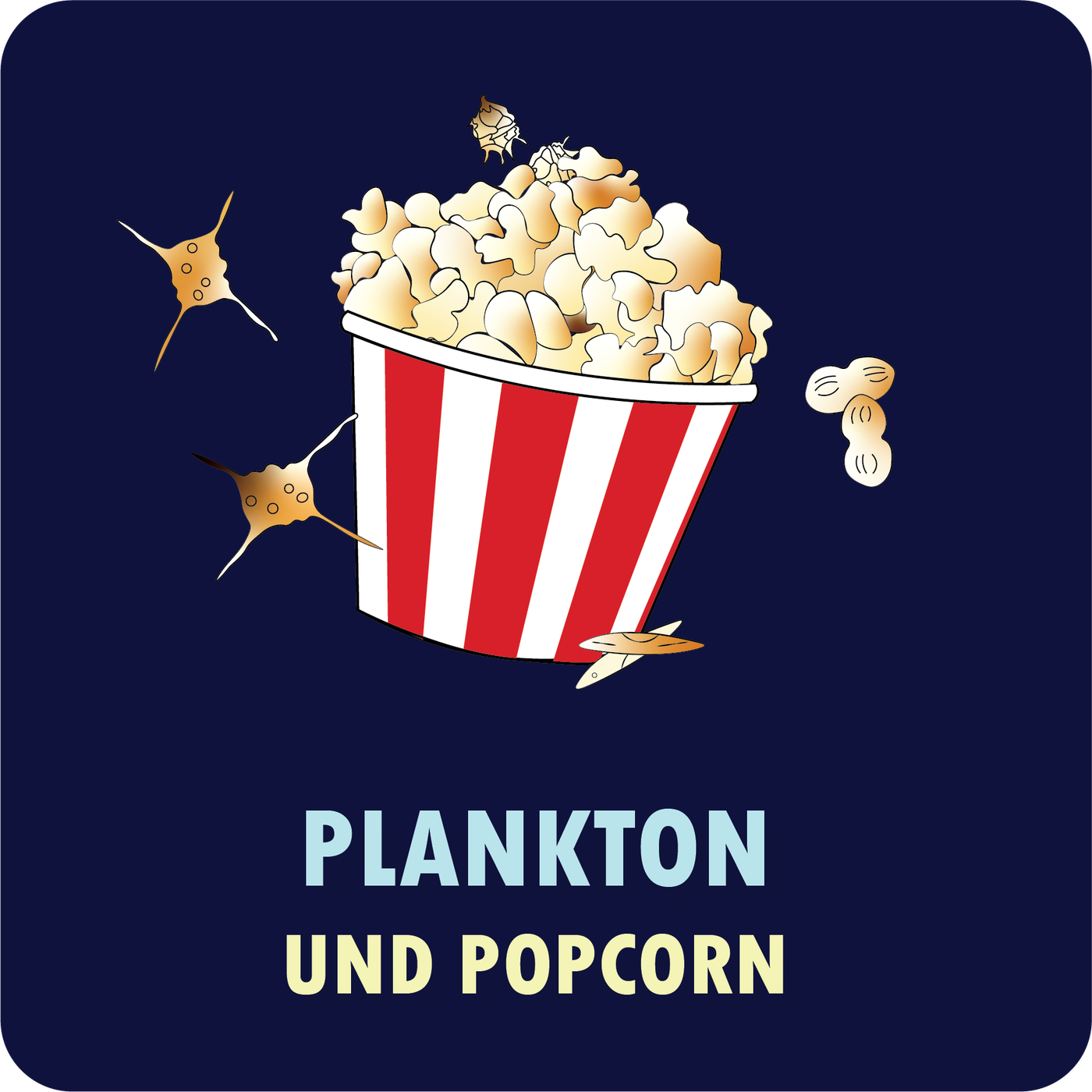 Plankton & Popcorn - Ein Meeresfilmeabend als Brücke zum Meer