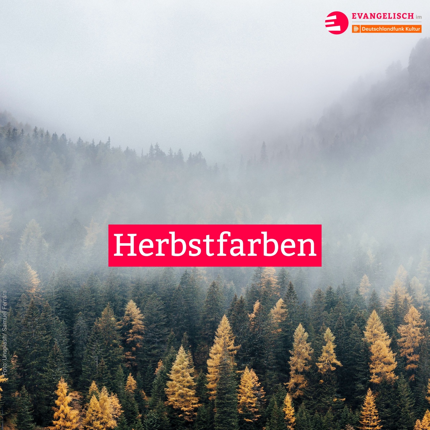 Herbstfarben