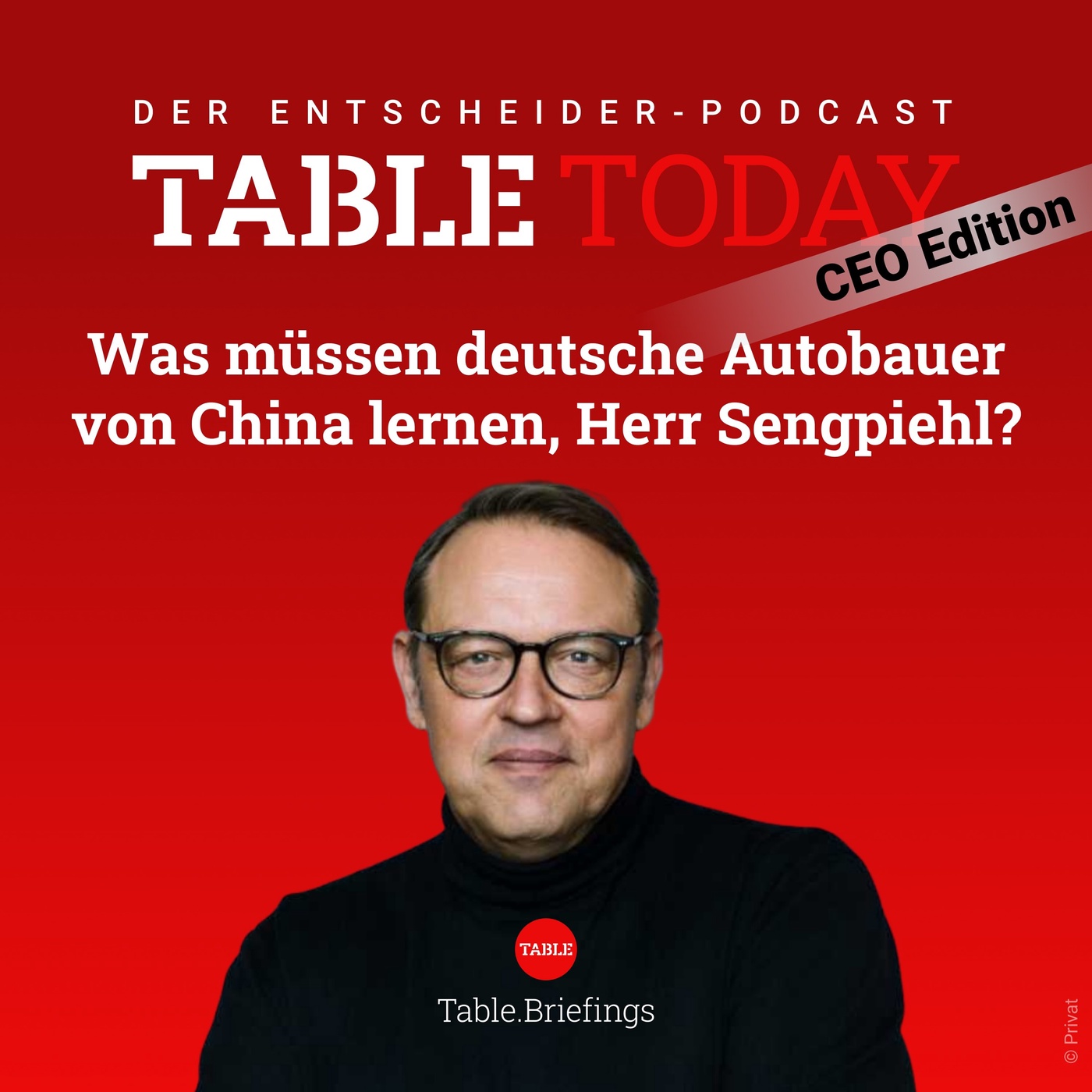 Was müssen deutsche Autobauer von China lernen, Herr Sengpiehl?