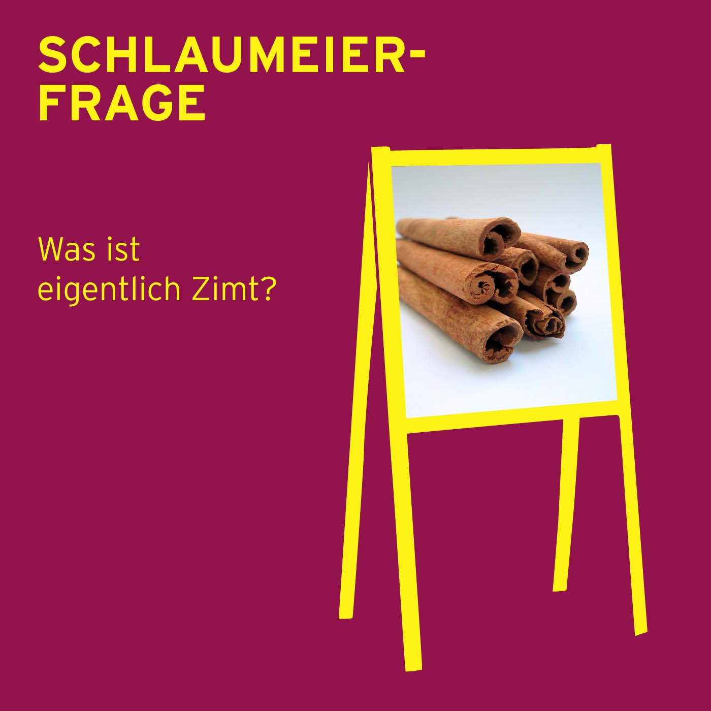Schlaumeierfrage: Was ist eigentlich Zimt? 