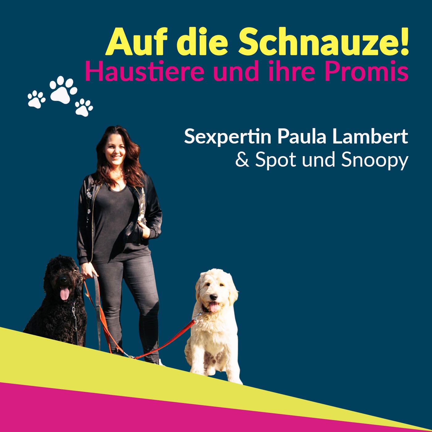 Paula Lambert - vier mal vier Pfoten