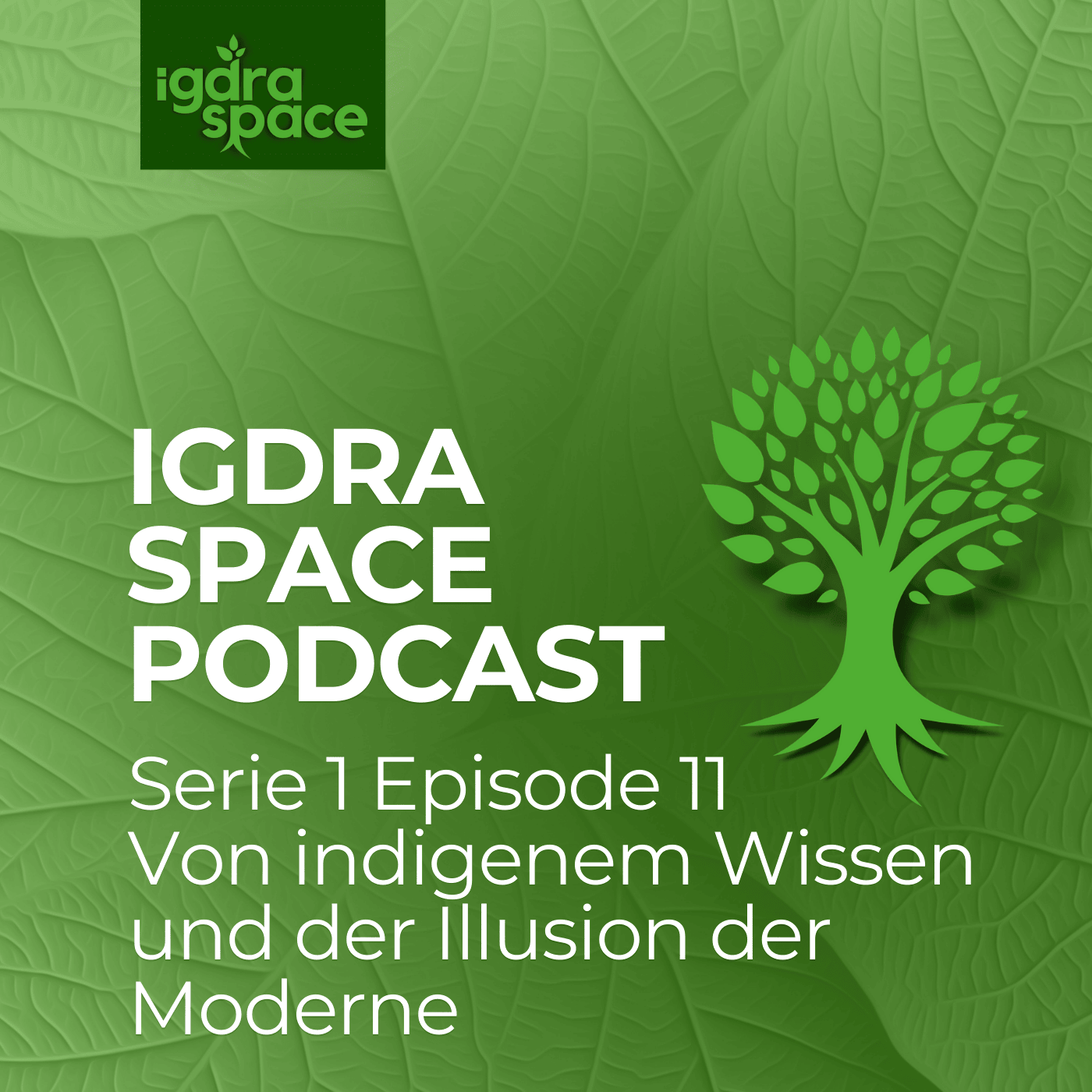 #11 Von indigenem Wissen und der Illusion der Moderne