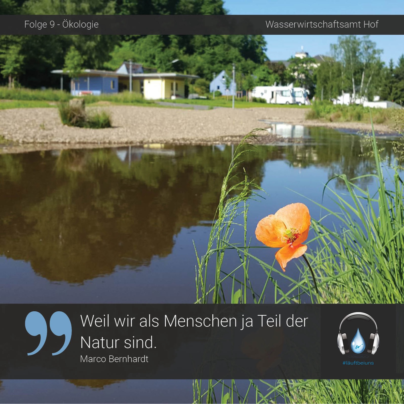 Ökologie in der Wasserwirtschaft