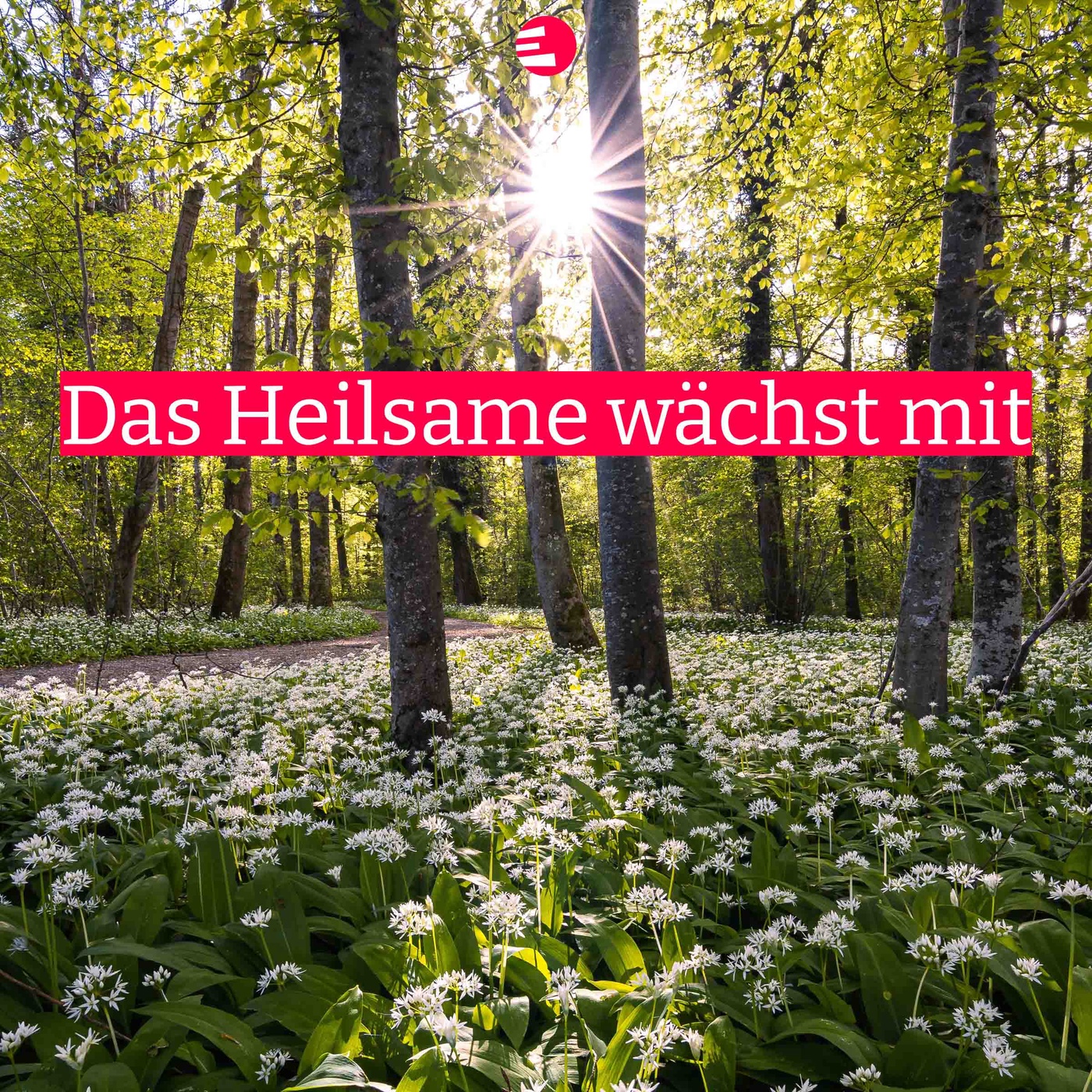 Das Heilsame wächst mit