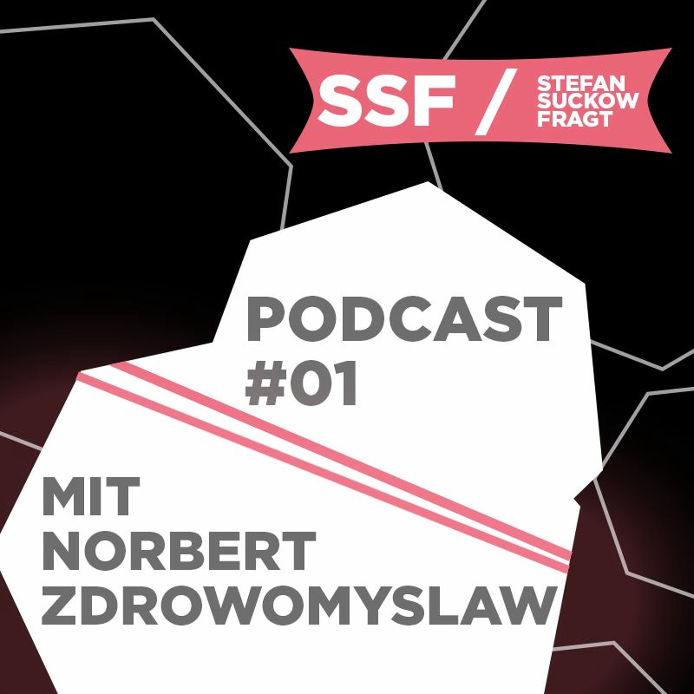 Stefan Suckow fragt E01 Prof. Z - HOST Stralsund