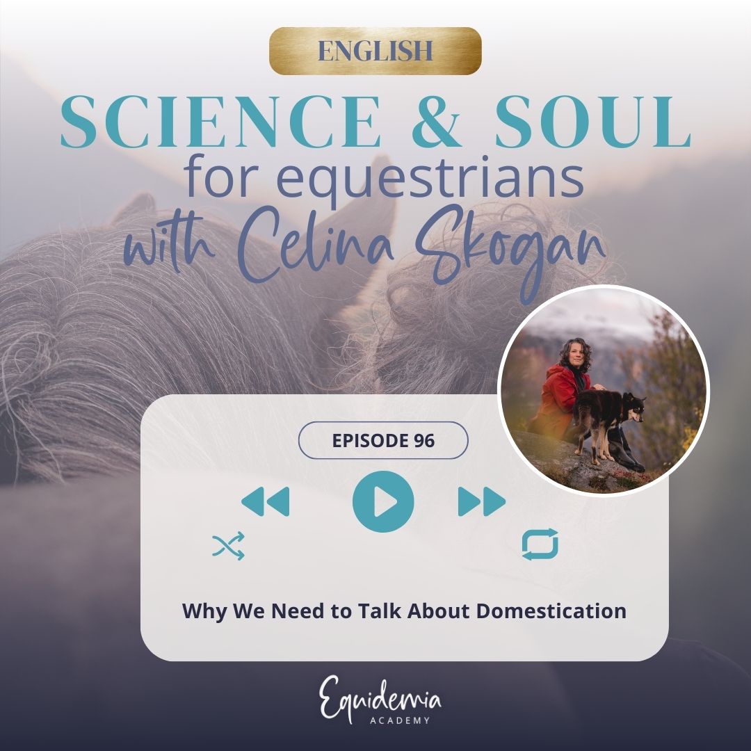 Why We Need to Talk About Domestication