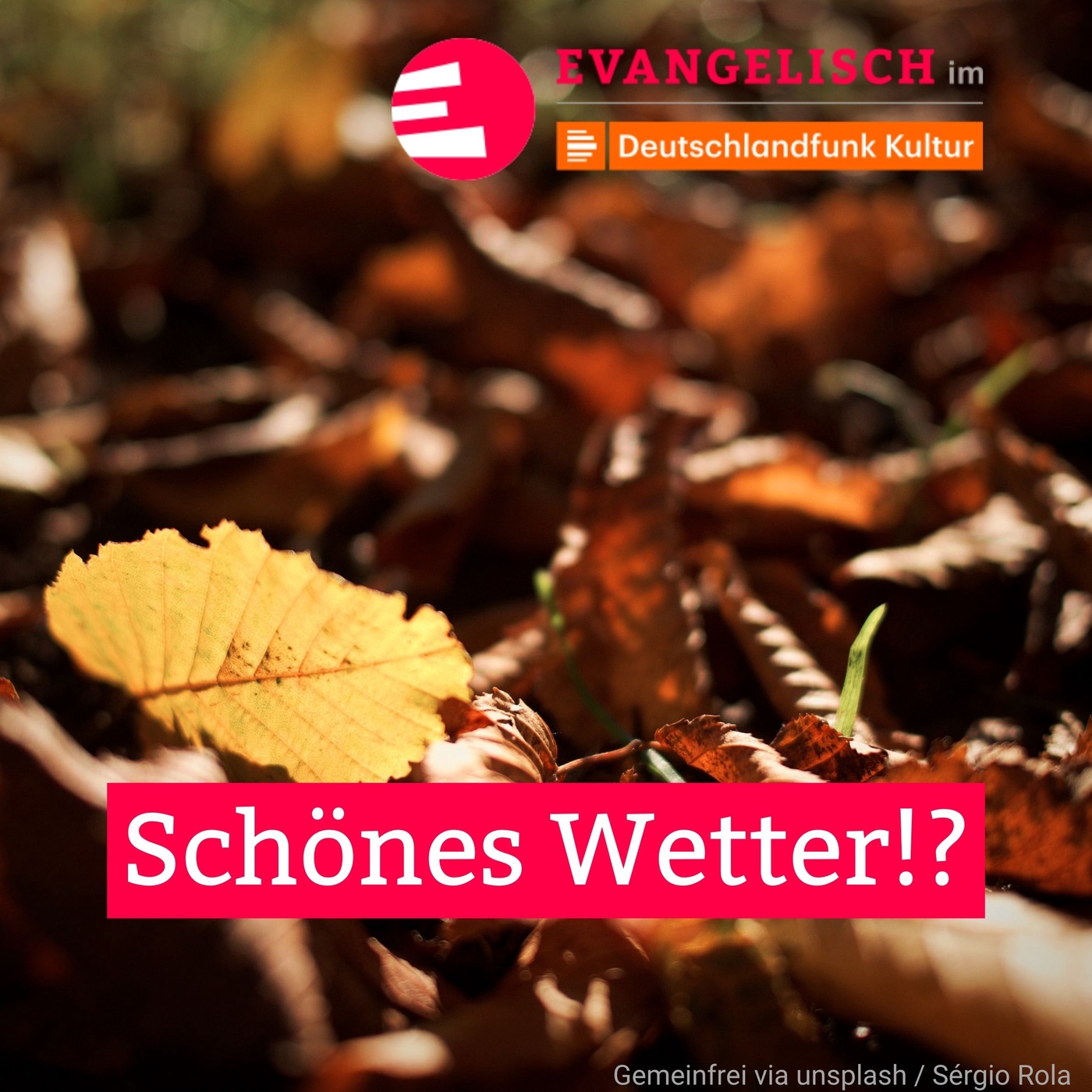 Schönes Wetter!?