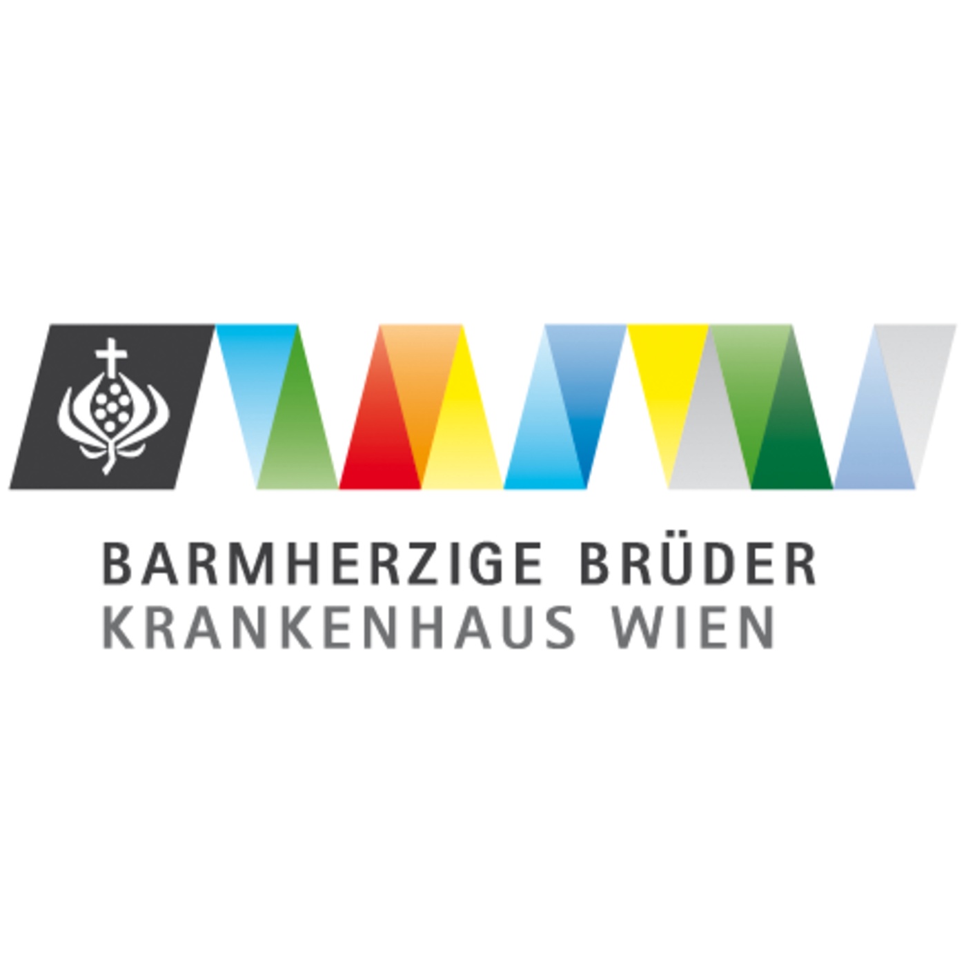 Barmherzige Brüder Wien: Gabriela Eichleter über die Notfallambulanz