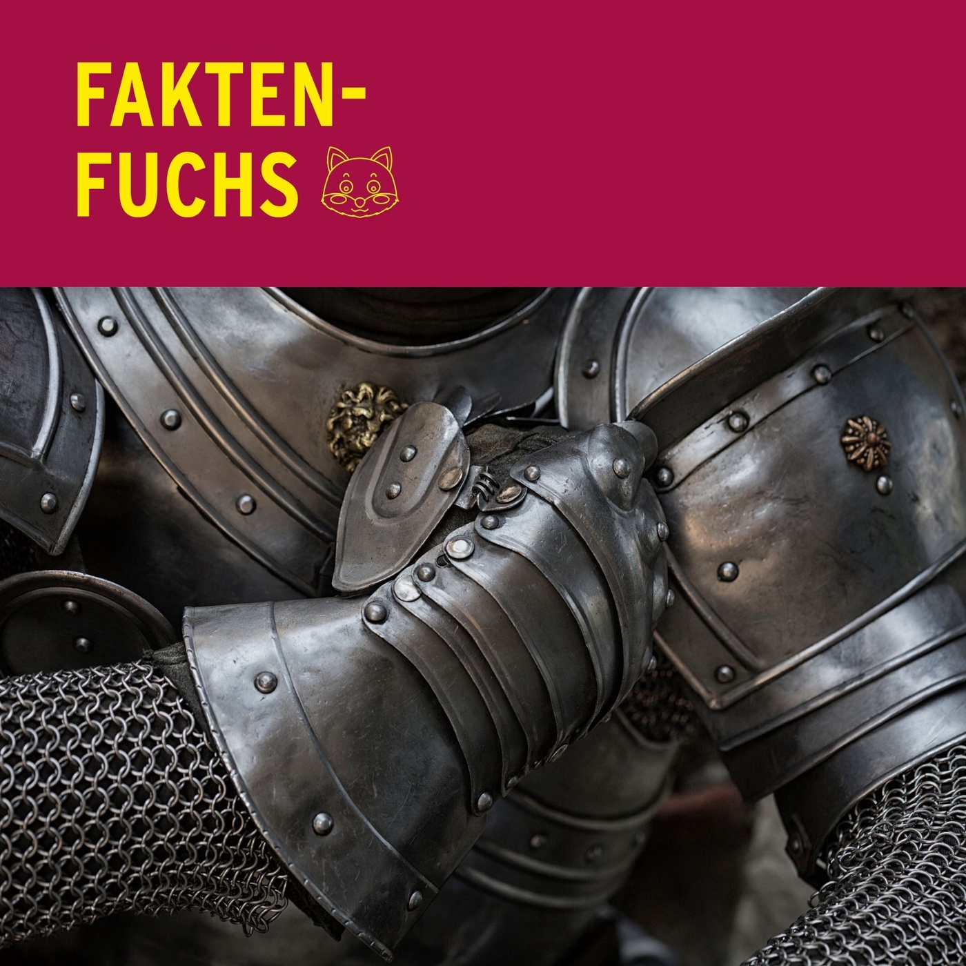 Faktenfuchs: Ritter 