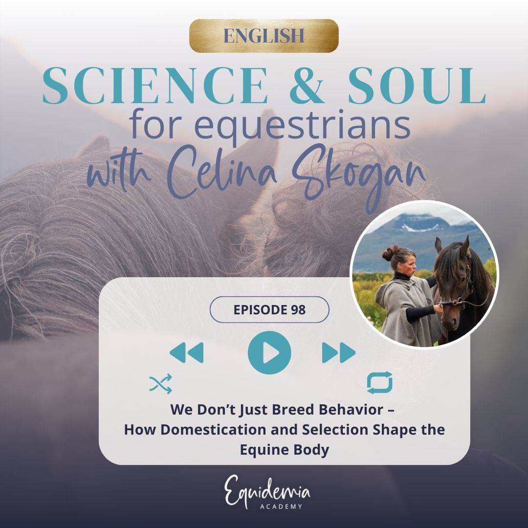 We Don’t Just Breed Behavior – How Domestication and Selection Shape the Equine Body