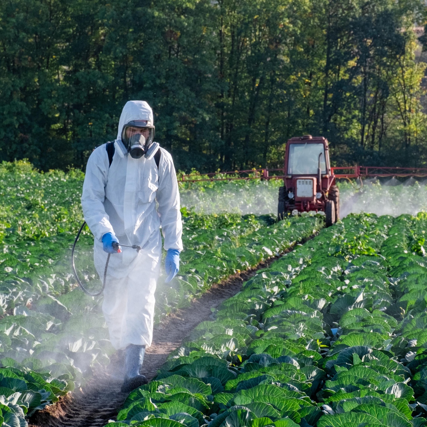 Stummer Frühling – Glyphosat reloaded (1/3)