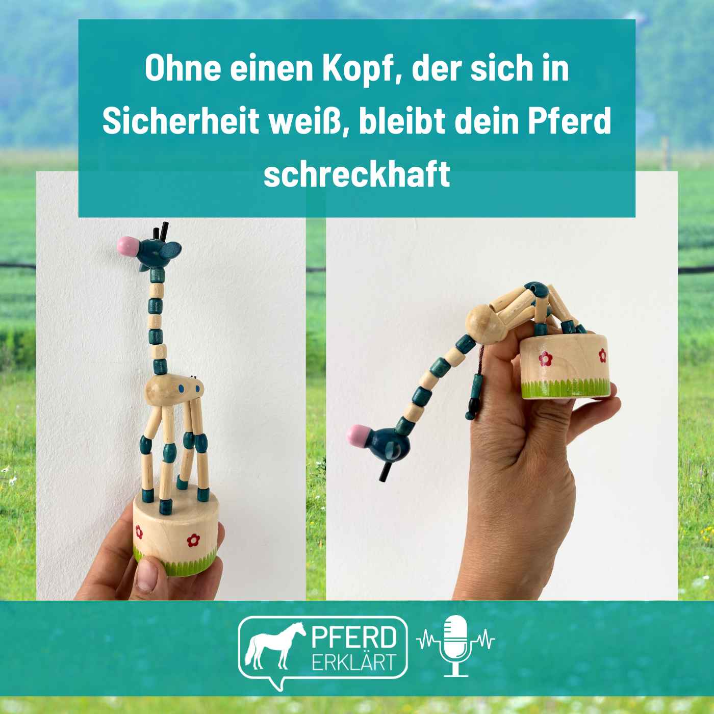 Wie der Kopf Sicherheit bekommt, wenn wir dem Pferdekörper Impulse geben