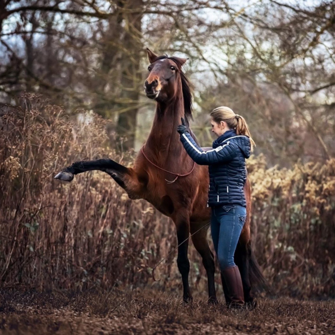 Sicherer im Gelände dank Bodenarbeit