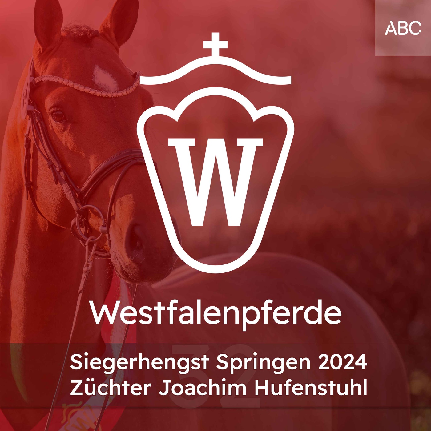 Der Siegerhengst Springen 2024