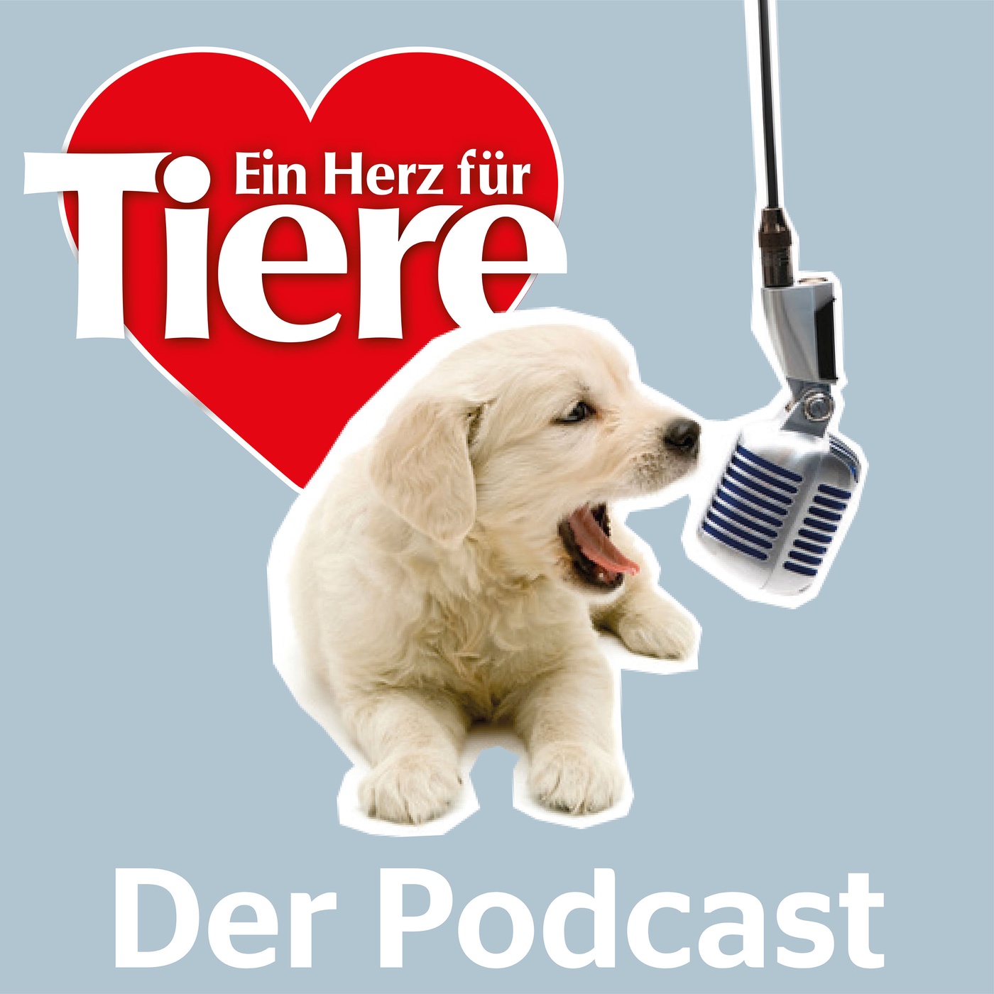 Folge 19: Hundkatzemaus feiert 20 Jahre TV-Jubiläum