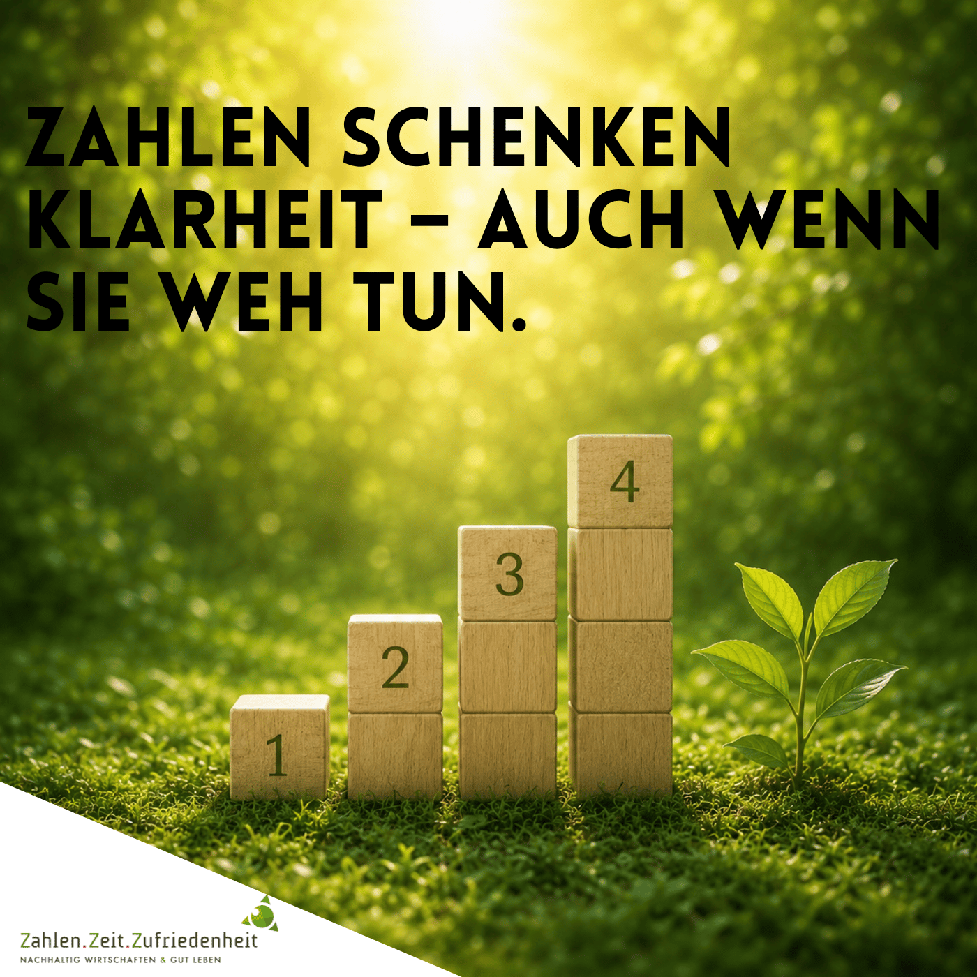 Zahlen schenken Klarheit – auch wenn sie weh tun.