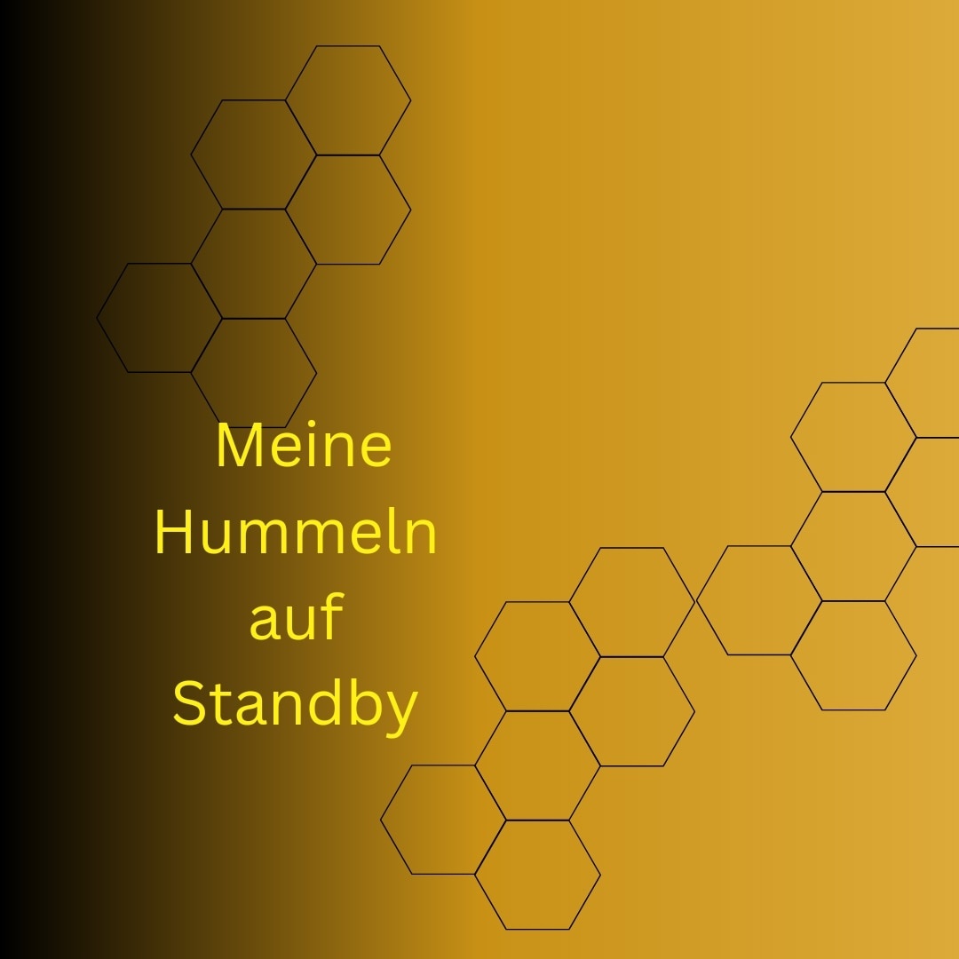 #5 Meine Hummeln auf Standby