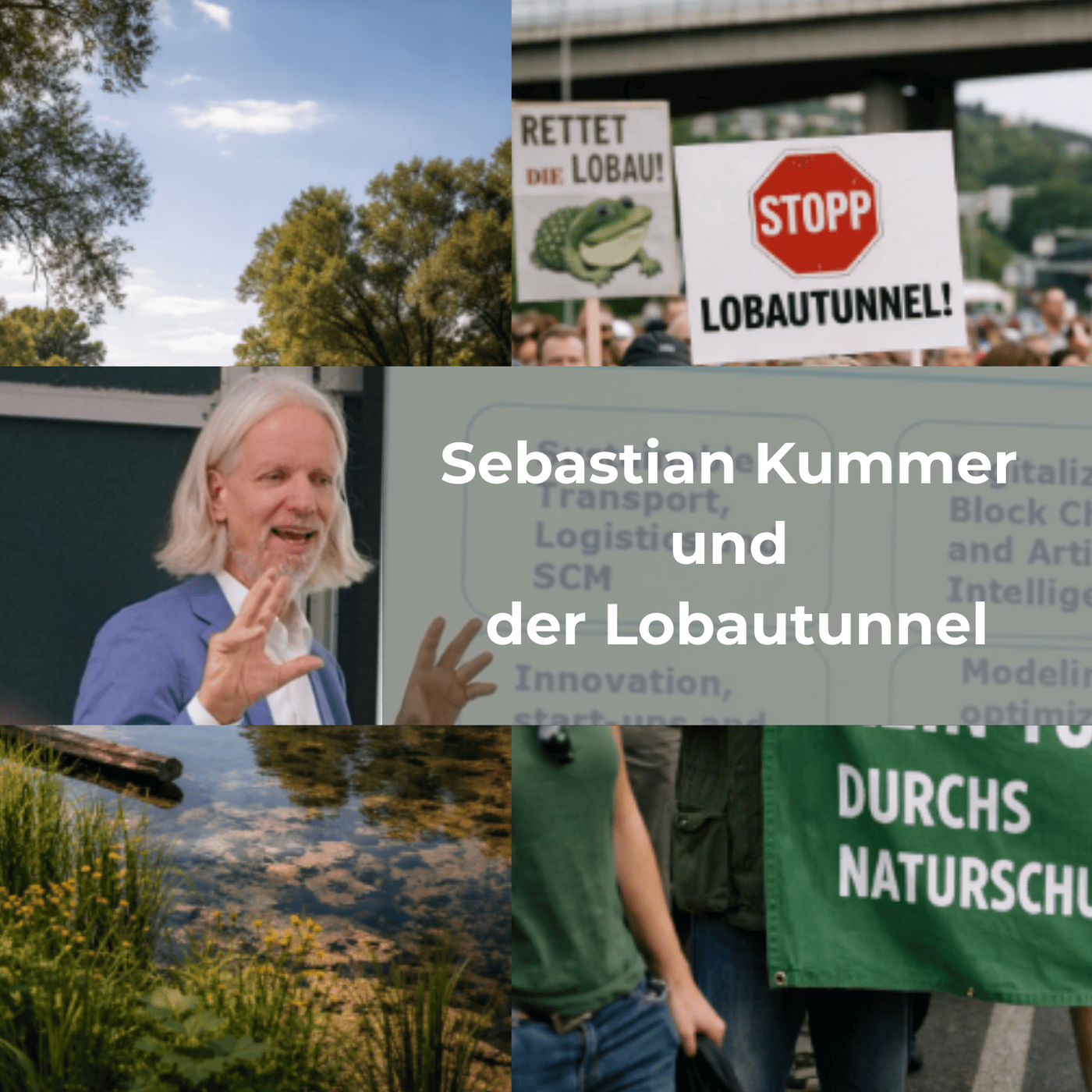 Sebastian Kummer und der Lobautunnel
